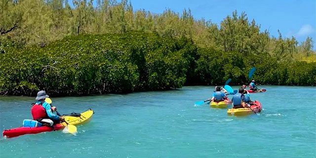 Kayaking trip dambre island half (8)
